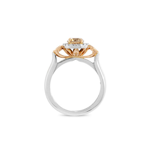 Argyle Champagne Diamond Round Brilliant Cut Engagement Ring - Image 3